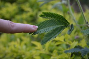 恋愛で恥ずかしがり屋を克服する方法は？