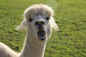 なぜダメンズに惹かれる心理とは？