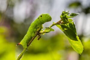 ダメンズ好きな女性の性格にはどんな特徴があるの？