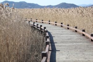 モテる方法を実践するための具体的な例は？
