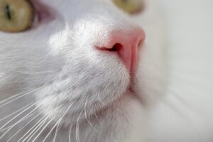 ダメンズを好きになる理由とその心理とは？