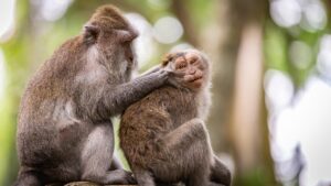 自分を受け入れることで恋愛成就を目指す方法は？