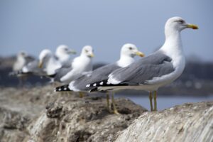 LINE依存を直す方法は恋愛にどう影響する？