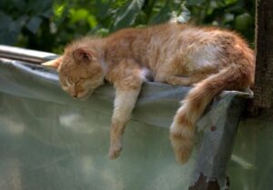 かまってちゃんの恋愛依存を解消する方法は？