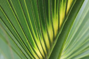 恋愛におけるパターンが繰り返す心理とは何か？