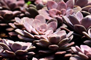 モテるためのテクニックは本当に効果的？