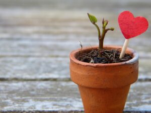 恋愛に自信を持つための向上法は？